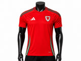 Adidas Wales Away Jersey 24/25