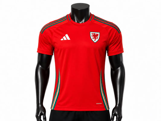 Adidas Wales Away Jersey 24/25